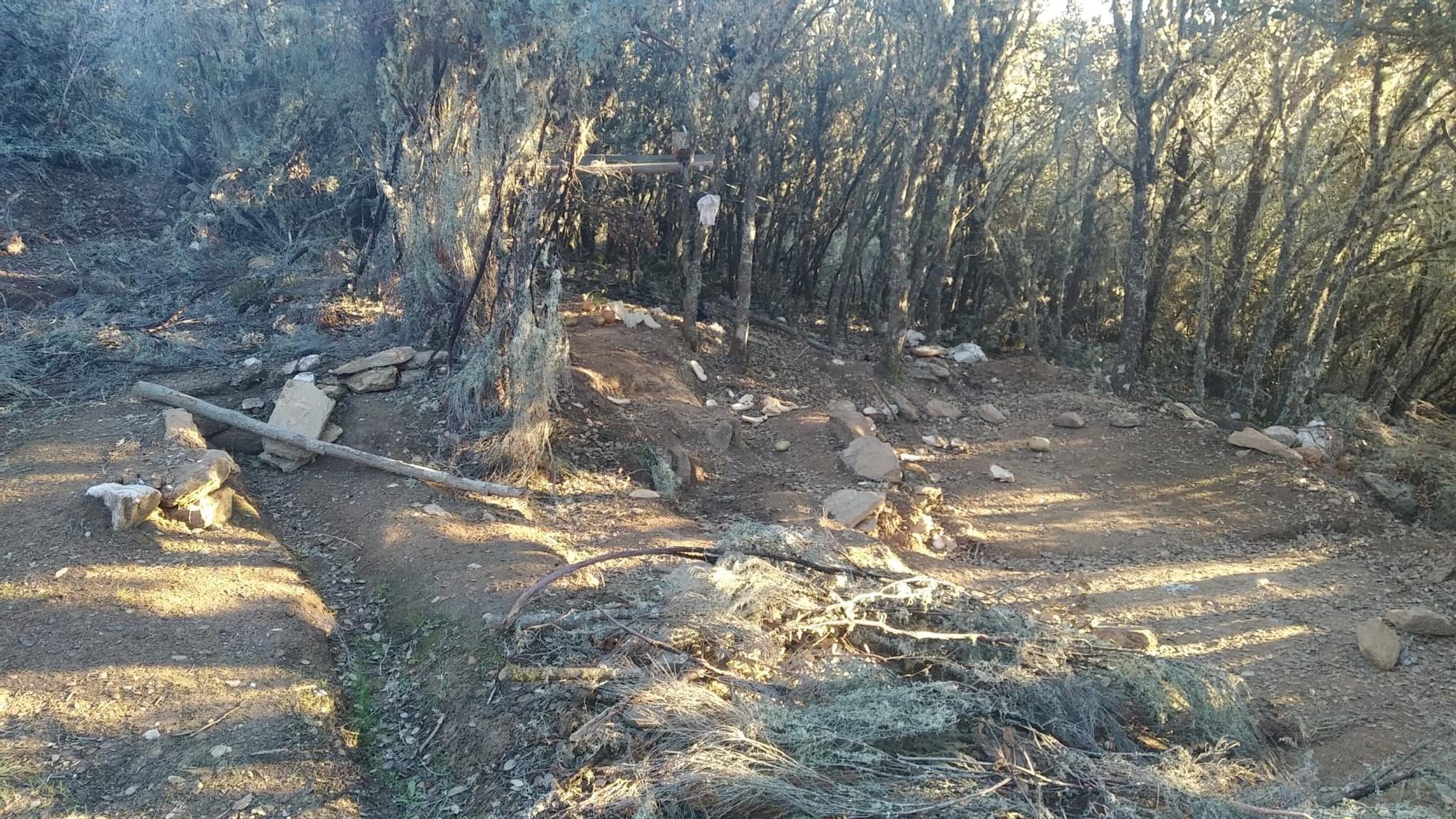 GALERÍA | Así era la plantación "paramilitar" de marihuana hallada en Peque por los cazadores