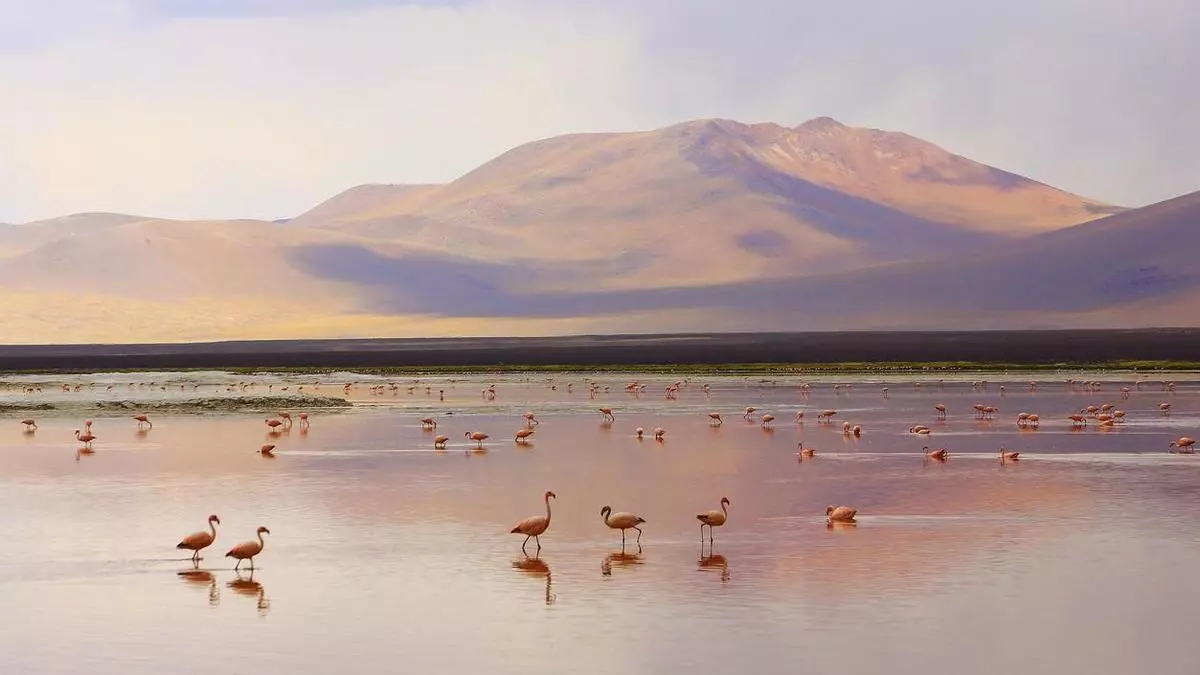 5 viajes que todo viajero debería hacer una vez en la vida