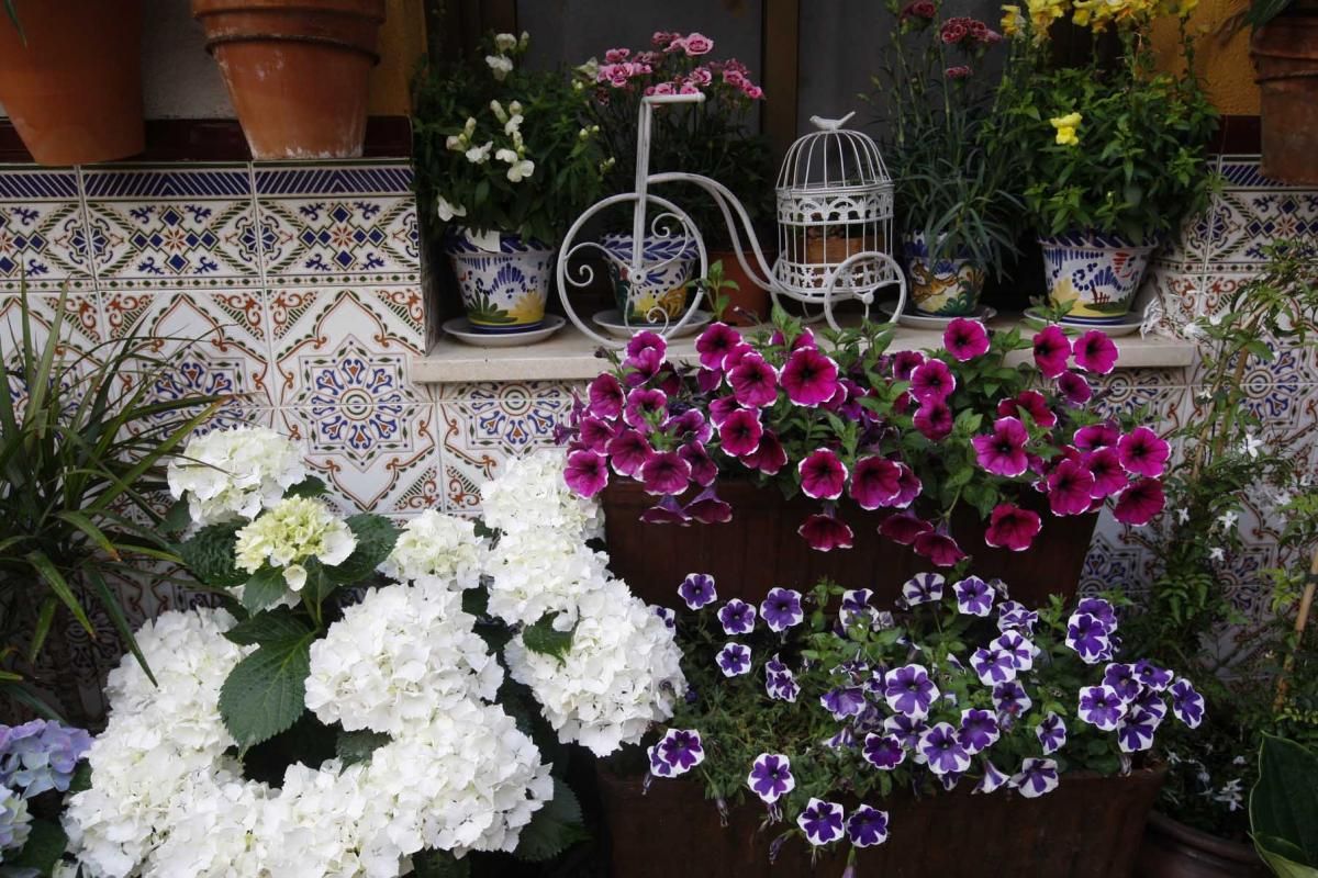 Colas y lluvia en el primer día de Fiesta de los Patios