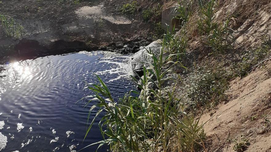 Aguas negras