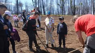 Cuando el verde triunfa sobre el negro: el alumnado de Agolada reforesta con robles una parcela en el monte quemado por el fuego el pasado verano en O Sexo