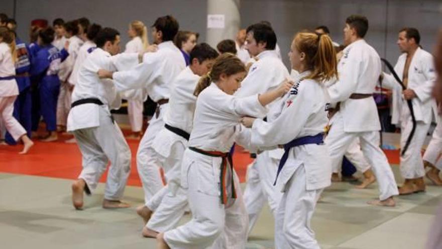 Girona acull el desè Congrés Internacional de Judo