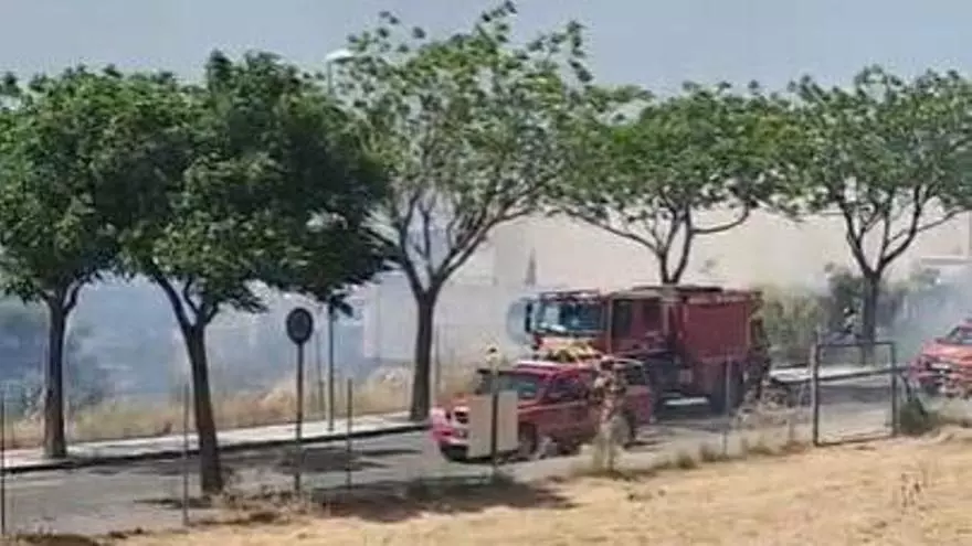 Video | Aparatoso fuego de pasto frente a los Servicios Sociales de Plasencia