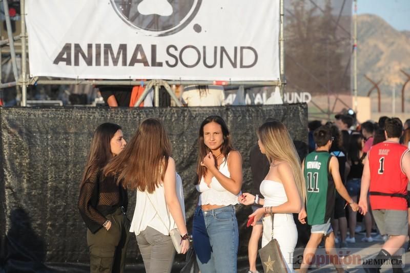 Animal Sound: sábado tarde