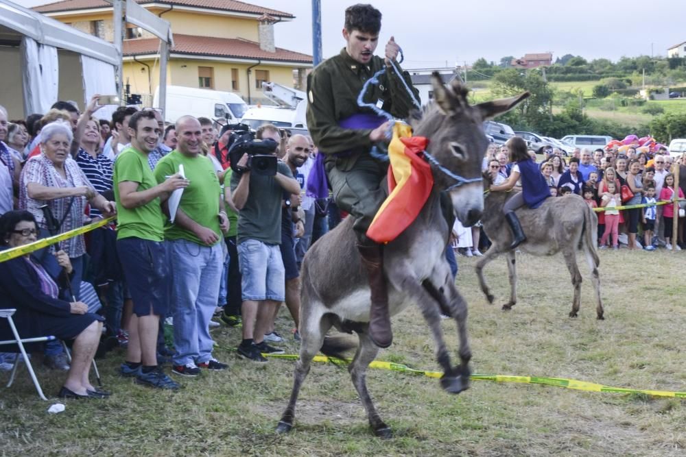 Carrera de burros en Pañeda