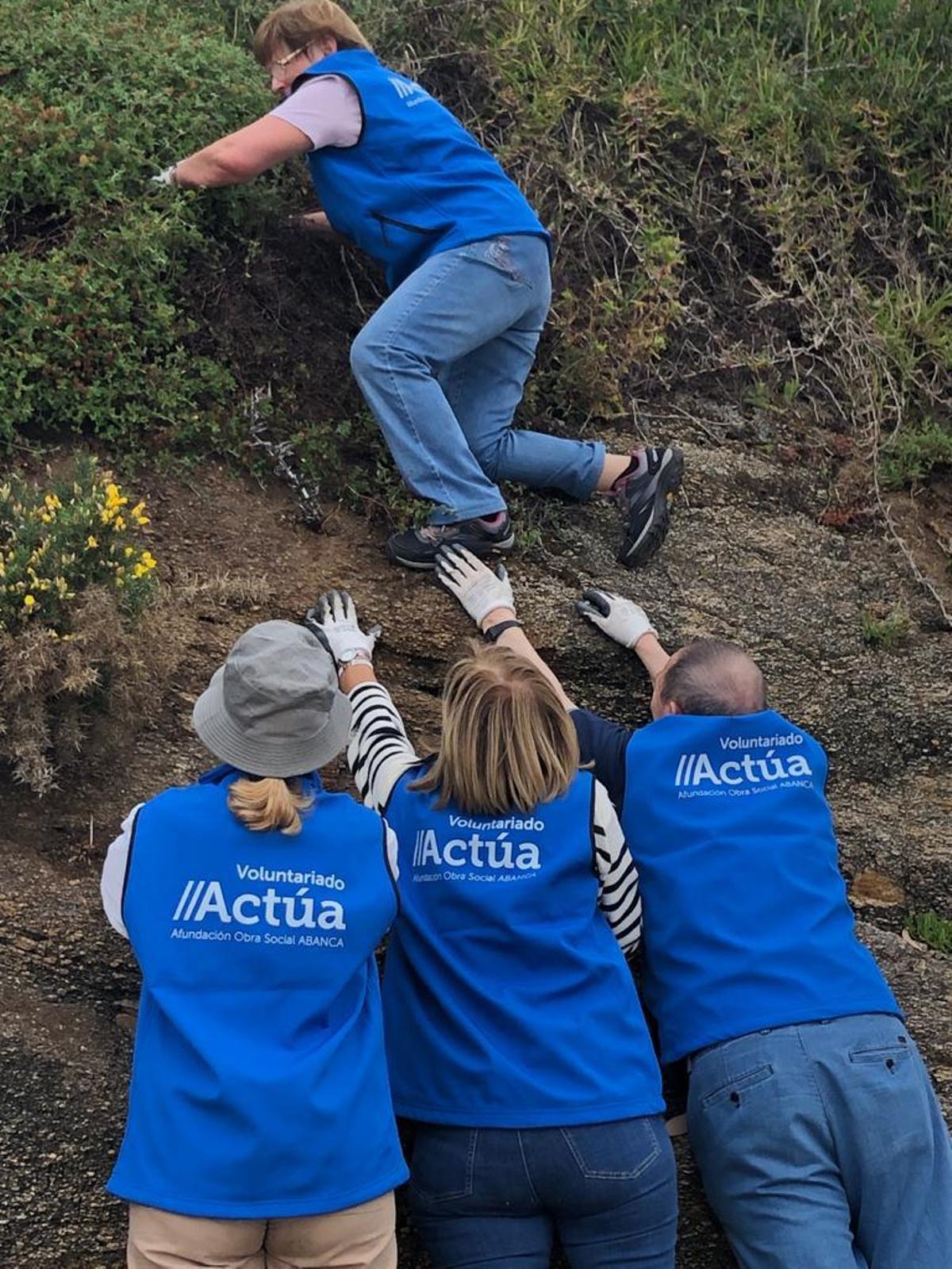 La jornada de voluntariado para eliminar uña de gato en O Grove.