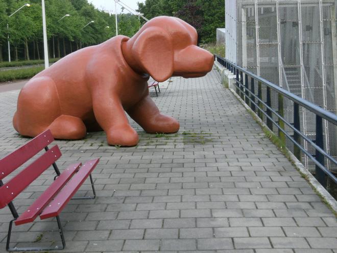 Amsterdam West, escultura perro