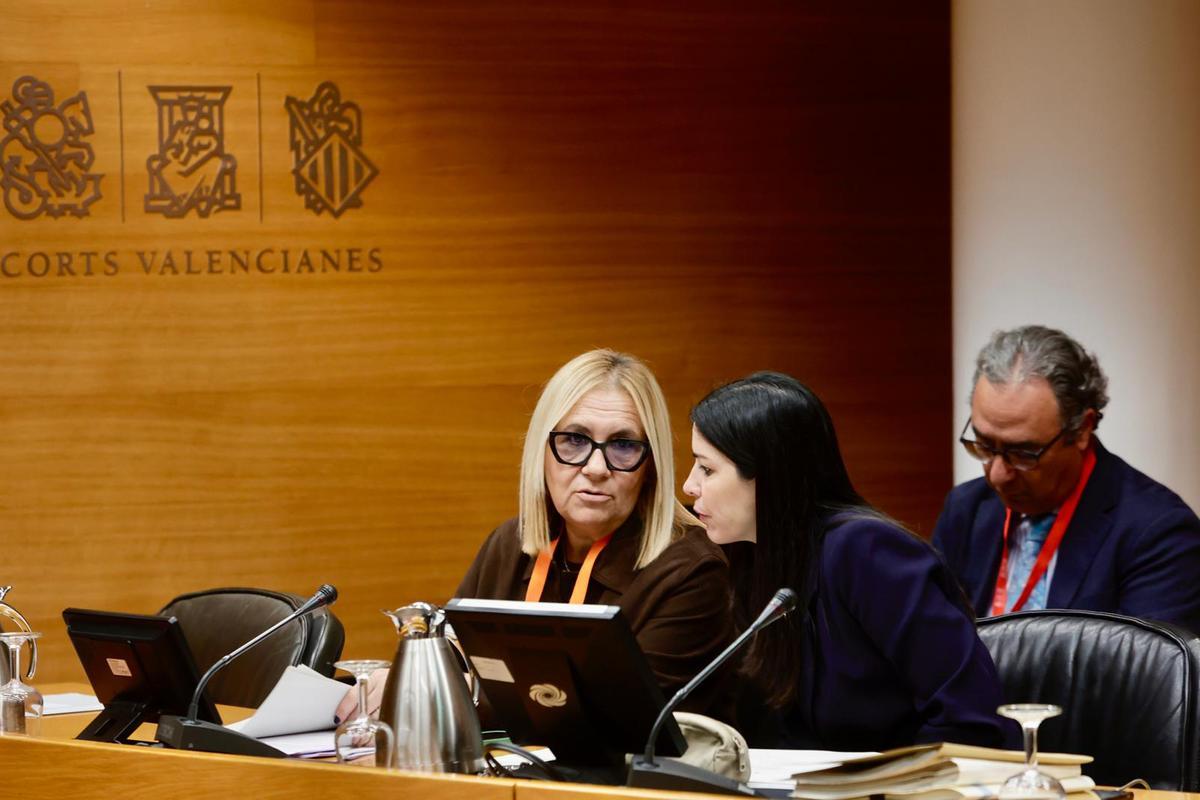 Víctimas, afectados y acusaciones: las asociaciones dana comparecen en las Corts 482 días después