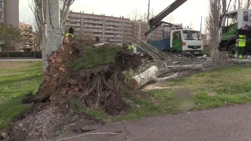 Mataró cierra parques, equipamientos y paseos marítimo por el temporal