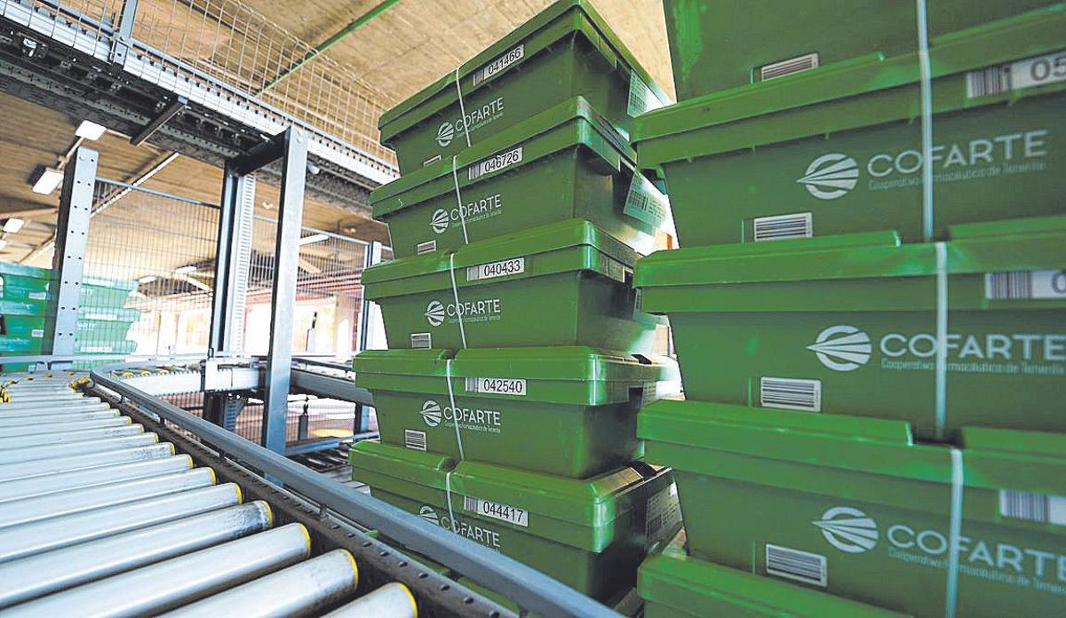 Cubetas preparadas en el almacén de Cofarte.