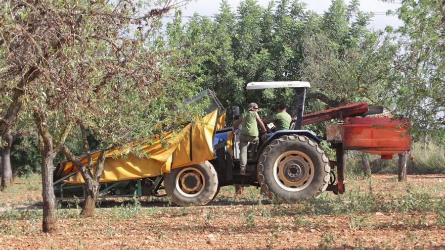 Landwirte auf Mallorca gesucht.