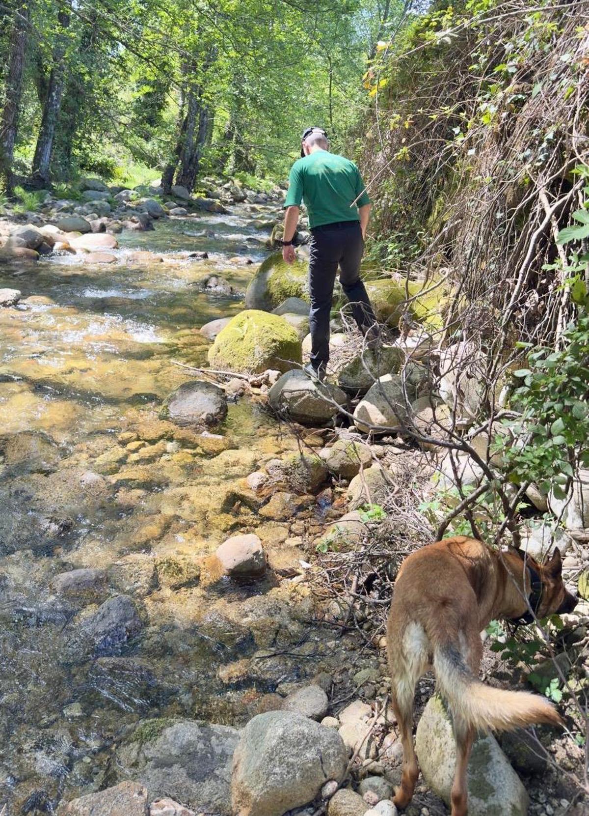 Galería | Así van las batidas para encontrar al desaparecido en Jarandilla de la Vera