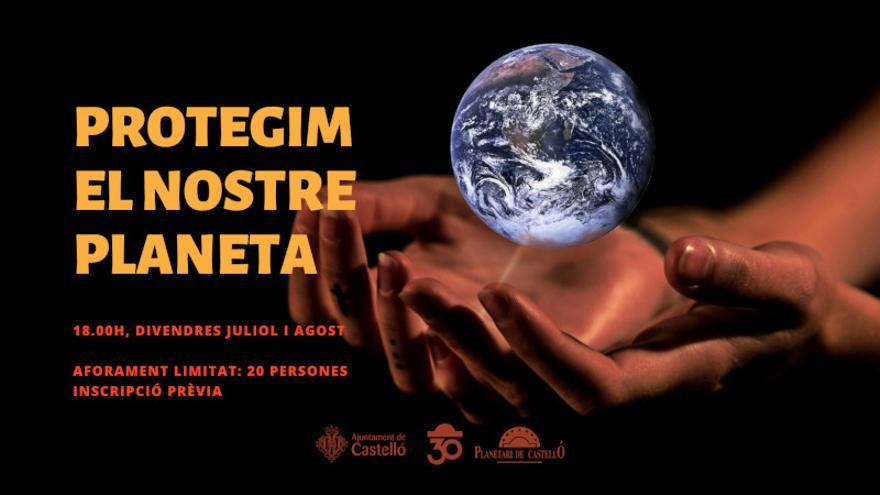 Protegemos nuestro planeta: Día mundial de las ballenas y los delfines