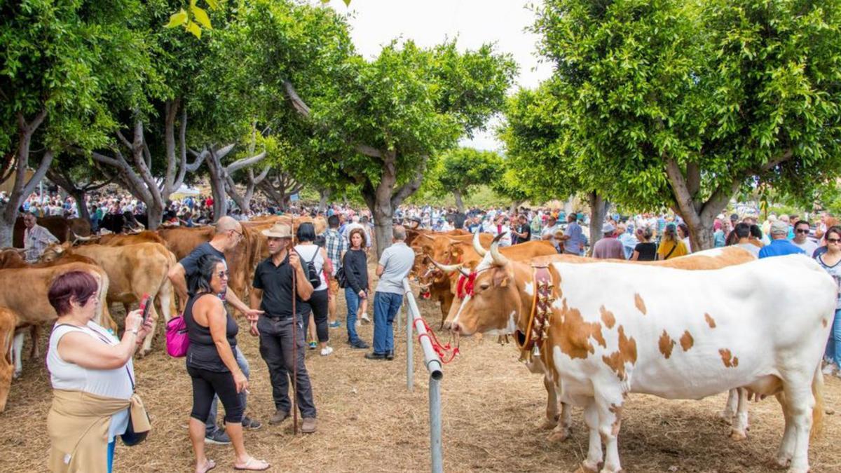 Feria de Ganado, en La Dehesa.