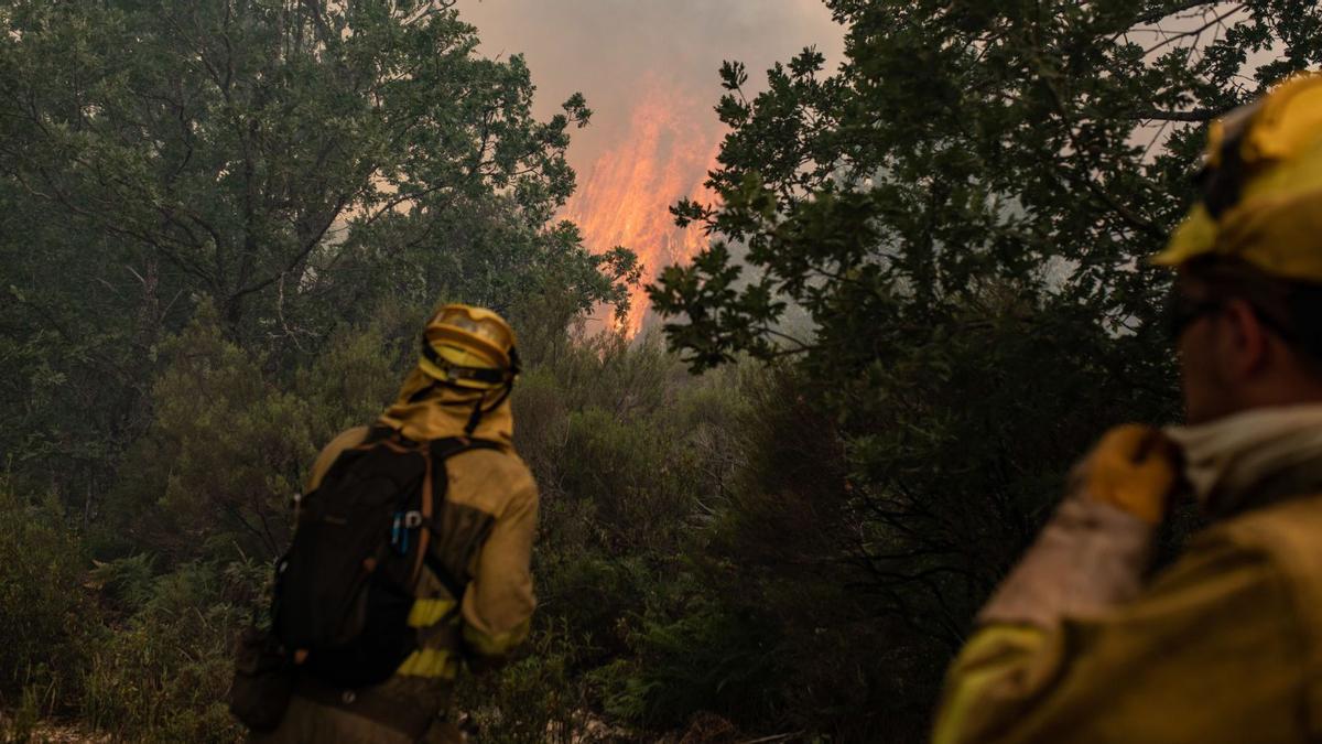 Dos efectivos de la Junta se acercan al fuego en la sierra de la Culebra. | Emilio Fraile |  EMILIO FRAILE (1, 2 Y 4) Y ARACELI SAAVEDRA (3)