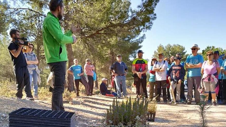 Actividad realizada en la pasada edición con motivo del Día del Árbol.