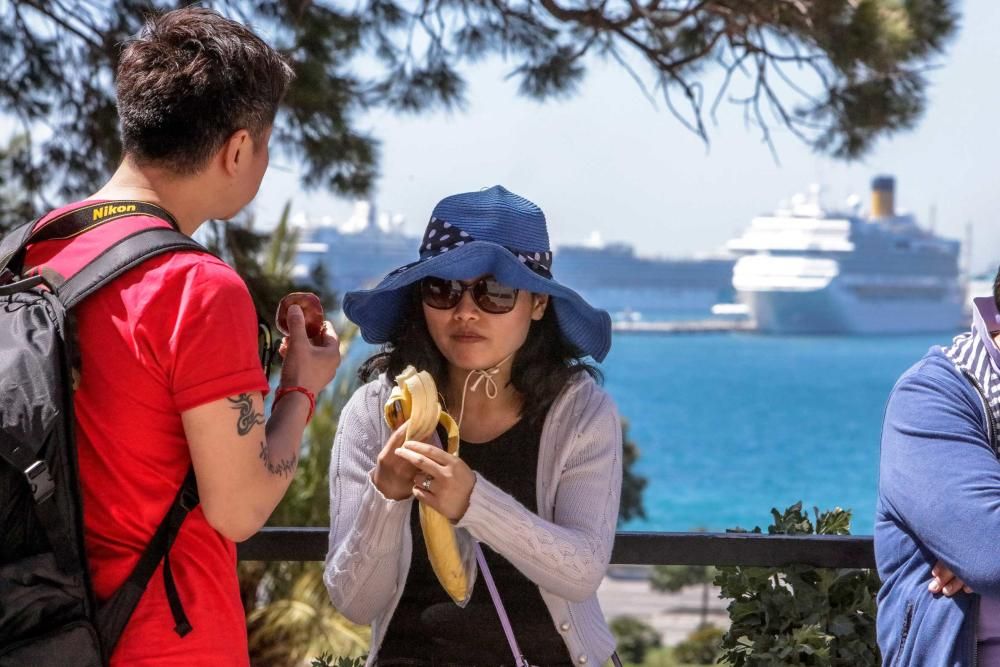 Llegan ocho cruceros y 22.000 turistas al puerto de Palma