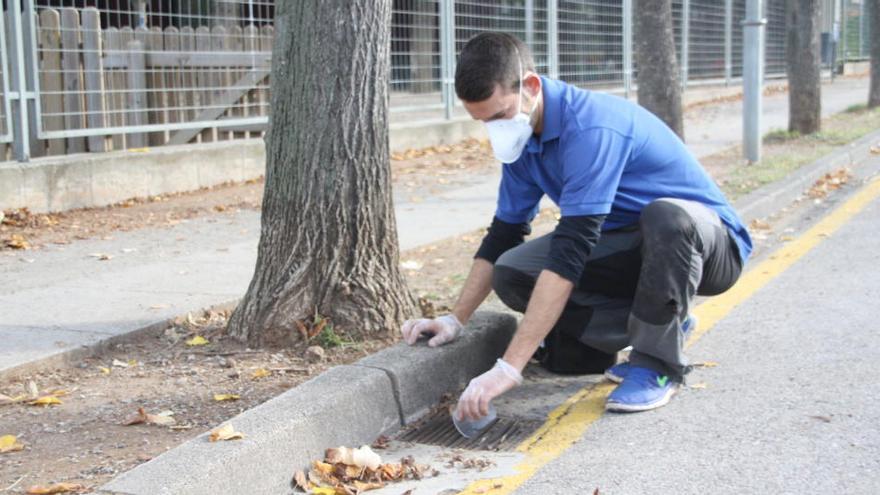 Un dels tècnics que tira plaguicida granulat en un embornal de l&#039;escola Pla de Dalt d&#039;Olot el 7 d&#039;octubre del 2015. Pla general · ACN