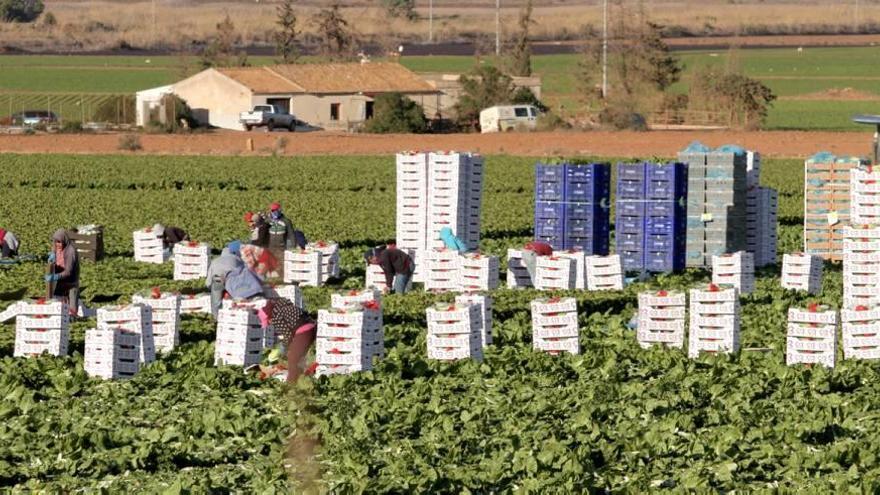 El campo comienza a remontar tras la crisis y cada vez tiene menos parados.