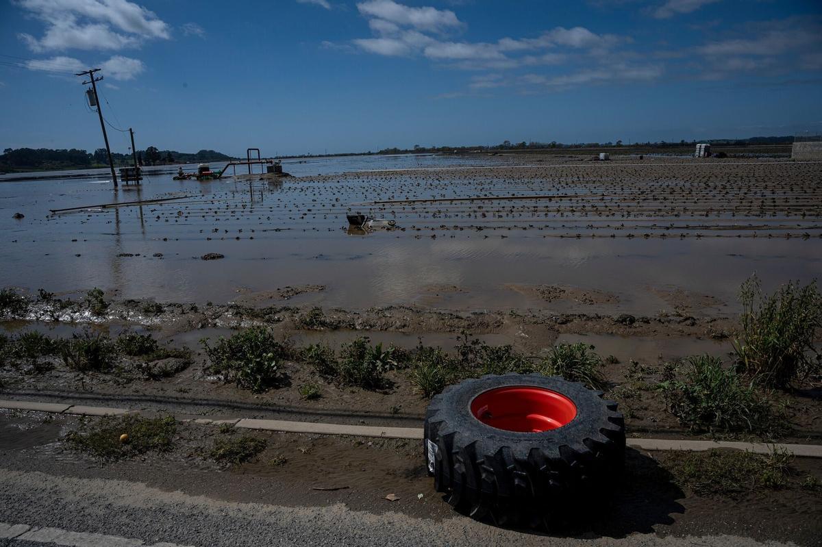 Campos inundados en Pájaro (California) debido al paso de un río atmosférico