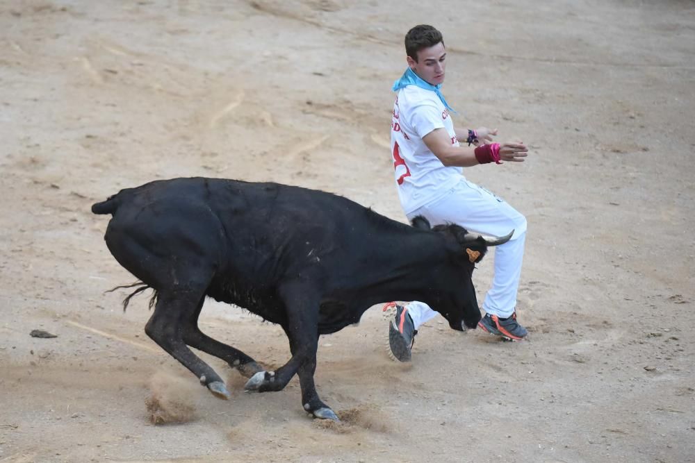 Corre de bou de Cardona