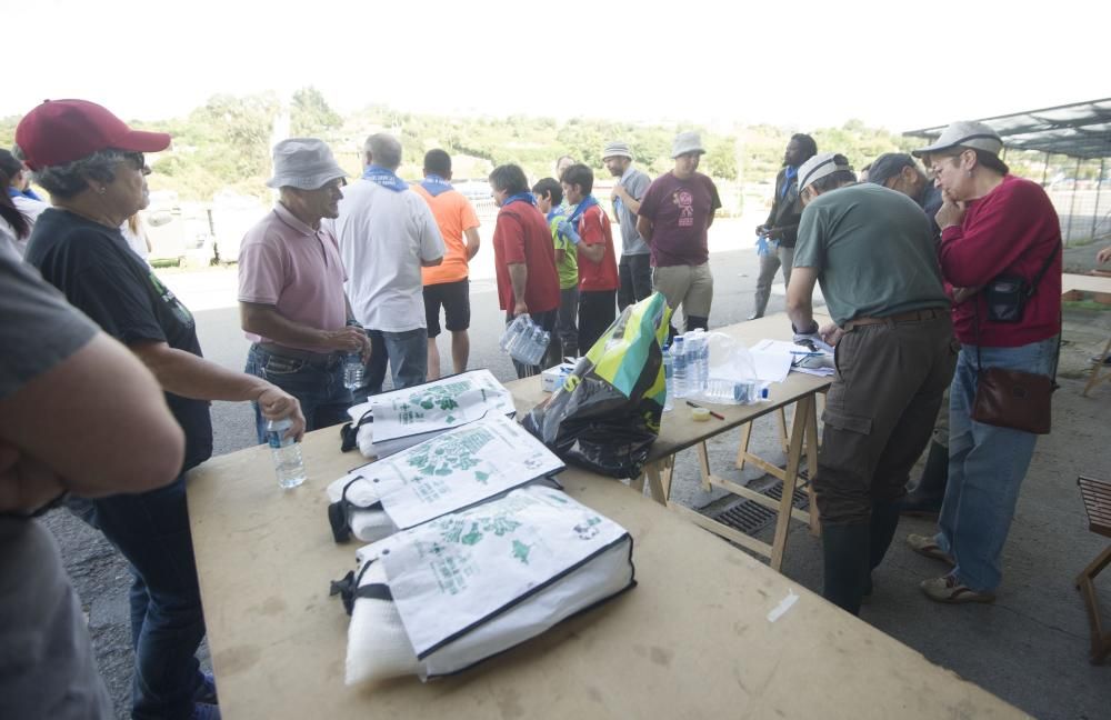 Ecoregata en Betanzos