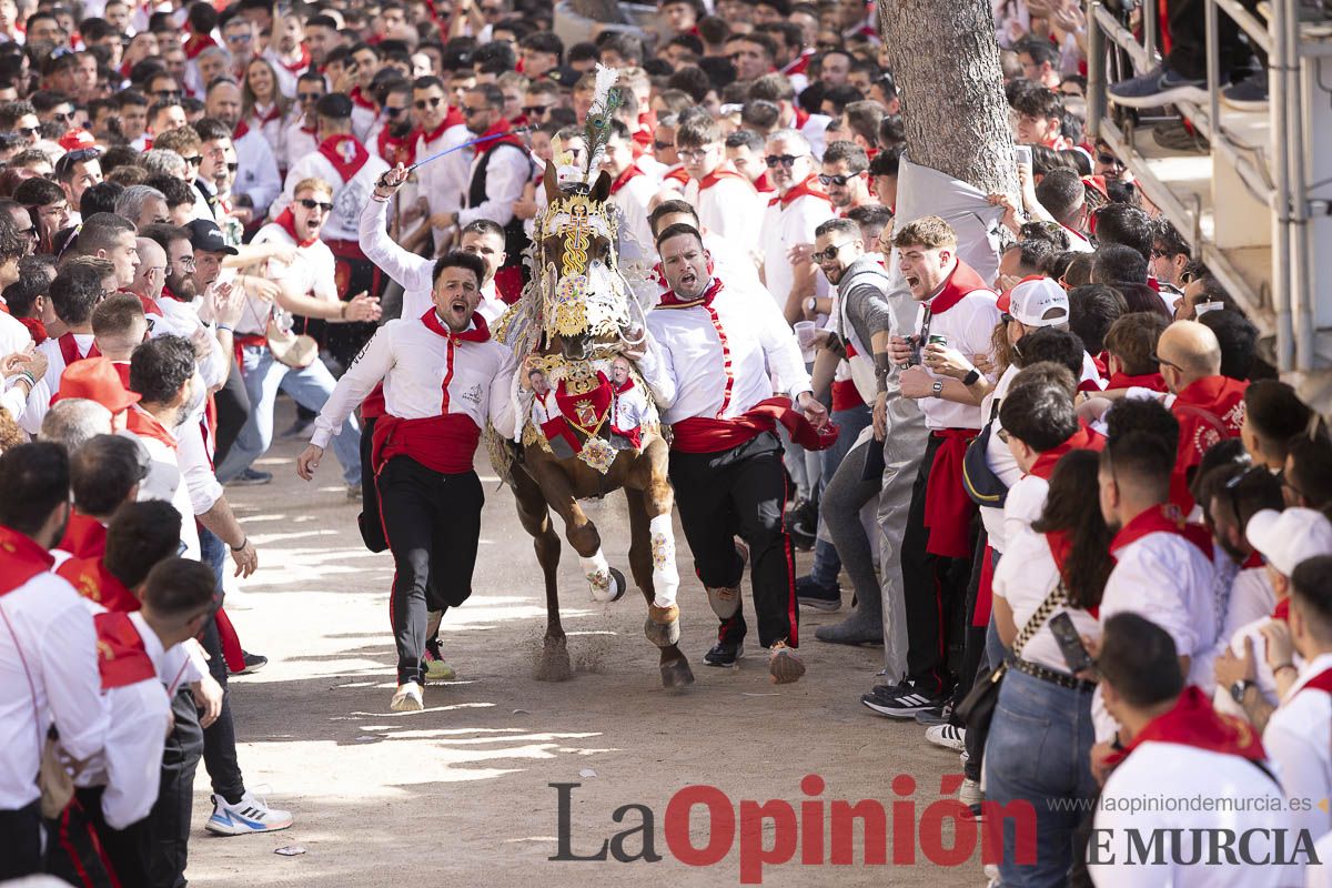 Así se ha vivido la carrera de Los Caballos del Vino en Caravaca
