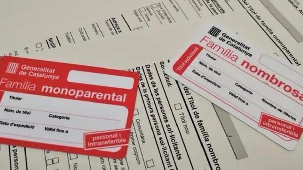 Carnet de família monoparental i nombrosa