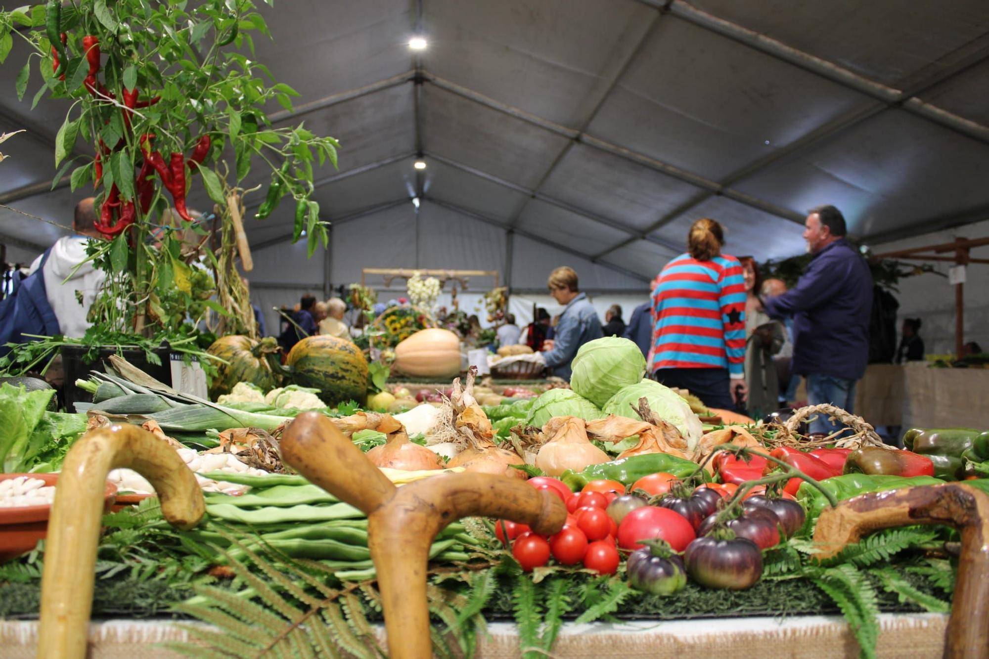 Sama celebra el III Certamen de la Huerta "Llangréu Natural"