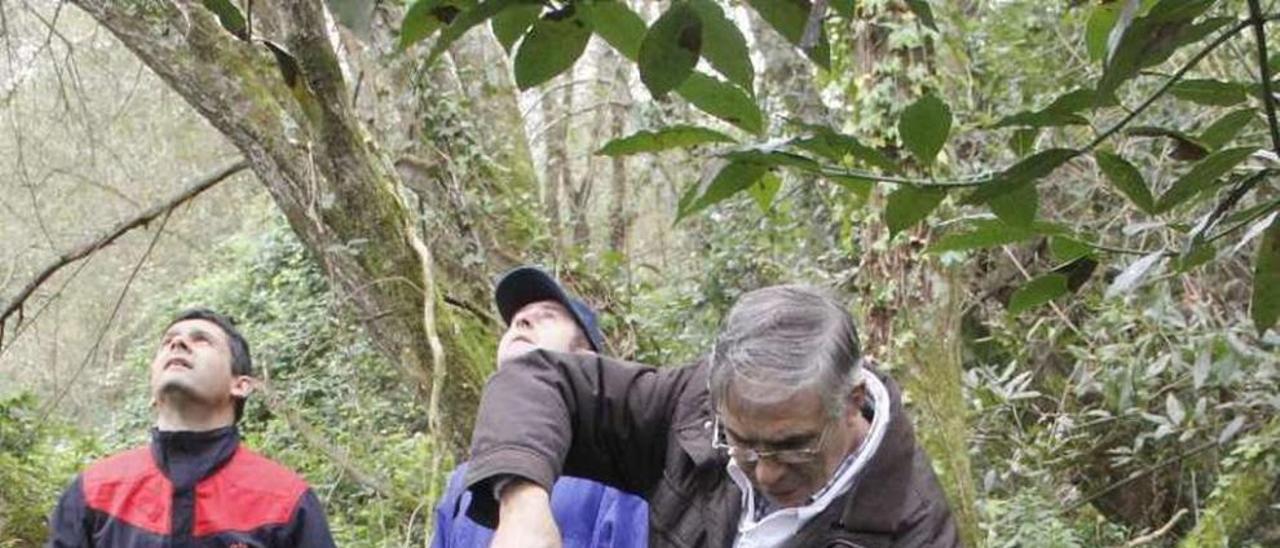 El insecticida se bombea a través de la pértiga.  // Santos Álvarez