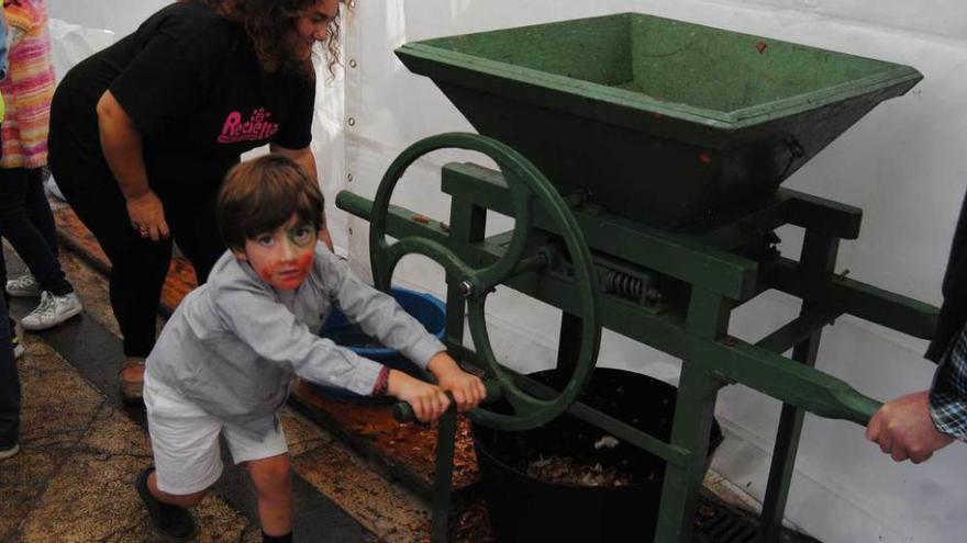 La manzana reina en Villaviciosa