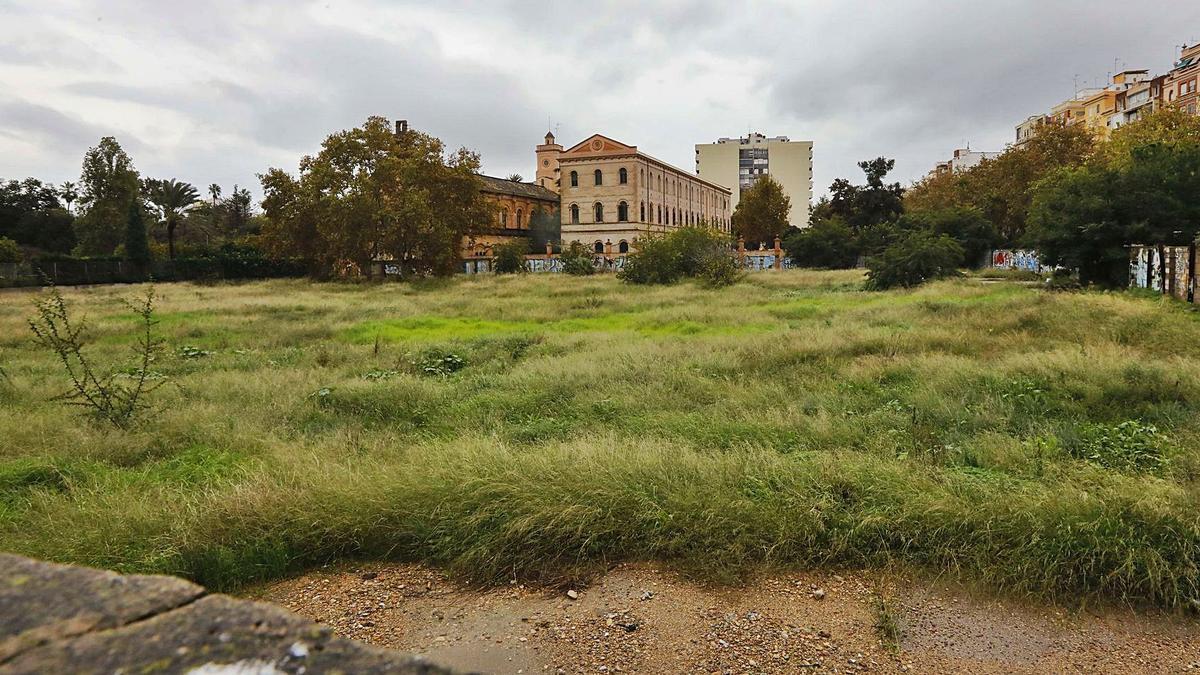 El jardín de Jesuitas rescatará cultivos locales y costará 2,3 millones