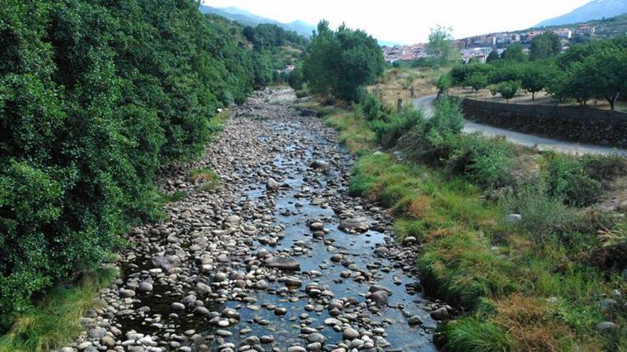 SEO/BirdLife alerta de una grave emergencia ambiental en el Jerte