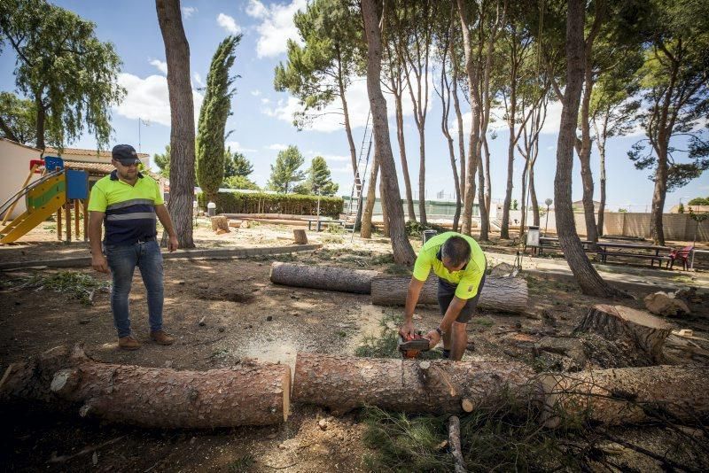 Efectos de la tormenta en Longares