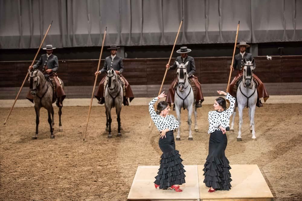 Así bailan los caballos cordobeses en Eslovenia