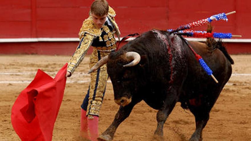 El torero español Javier Cortez lidia un toro en la feria &quot;Jesús del Gran Poder 2009&quot; en Quito (Ecuador).