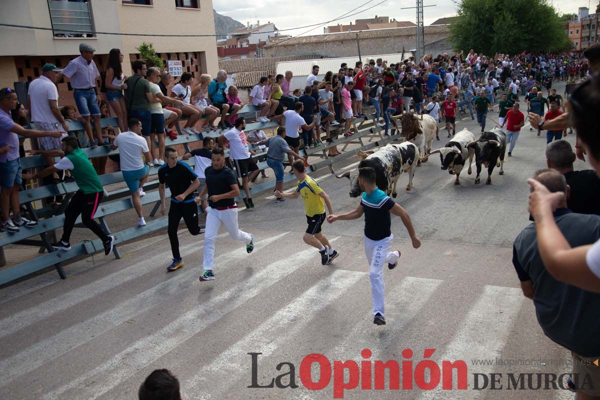 Primer encierro de la Feria del Arroz de Calasparra