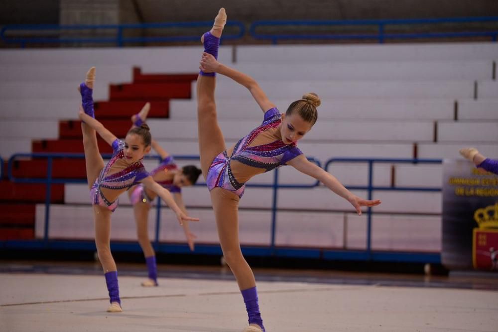 Campeonato Regional de Gimnasia Estética