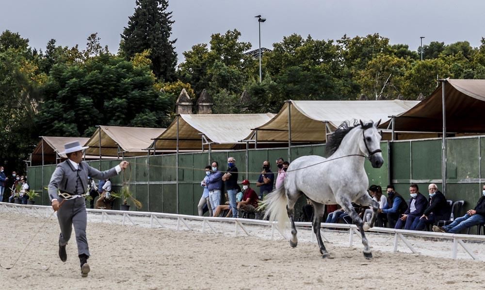 Cabalcor puede con la lluvia y el Covid