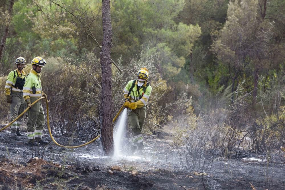 Incendio forestal en la zona el Pi d'Ambrosio de l'Ènova