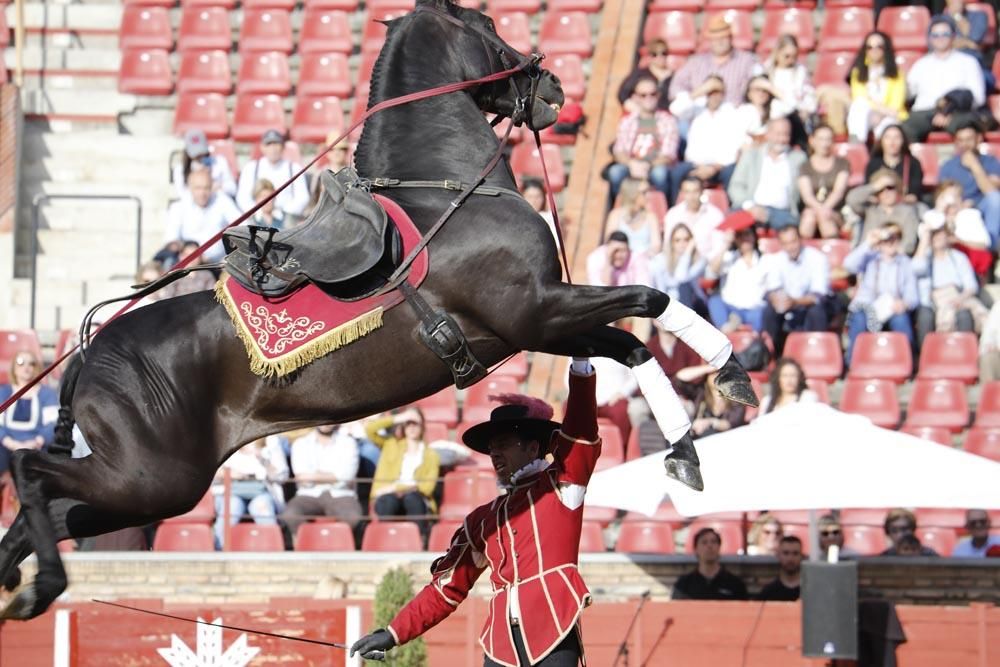 El mundo del caballo contra el cáncer