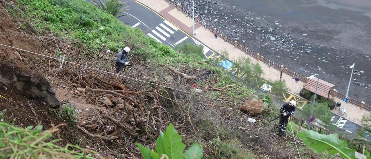 Trabajos en el talud de la playa del Socorro