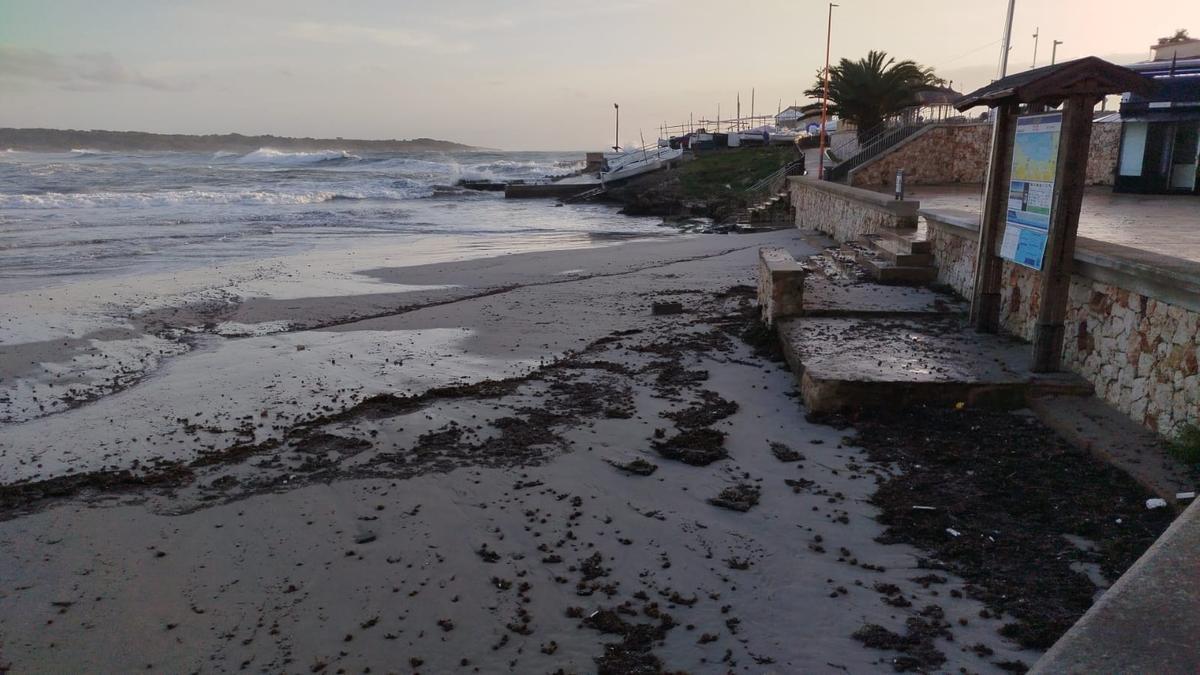 Los efectos de la borrasca en las playas de Manacor