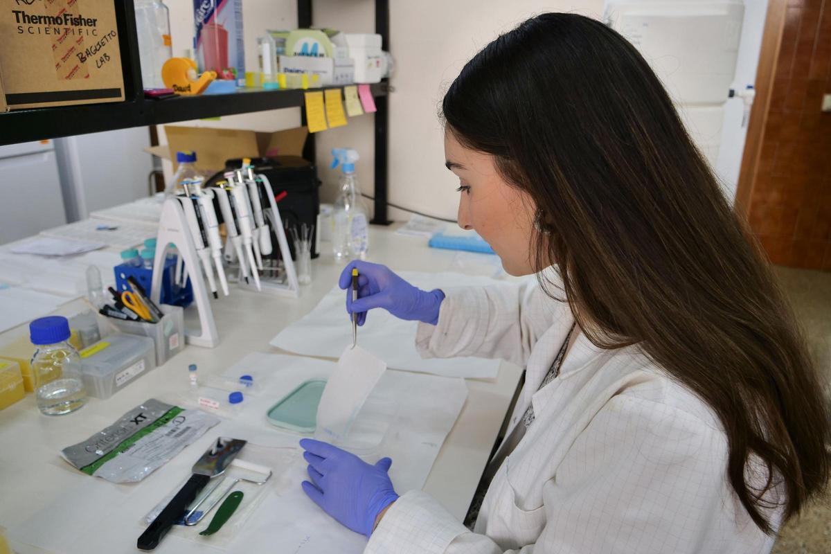 Trabajos de investigación en la UMA.