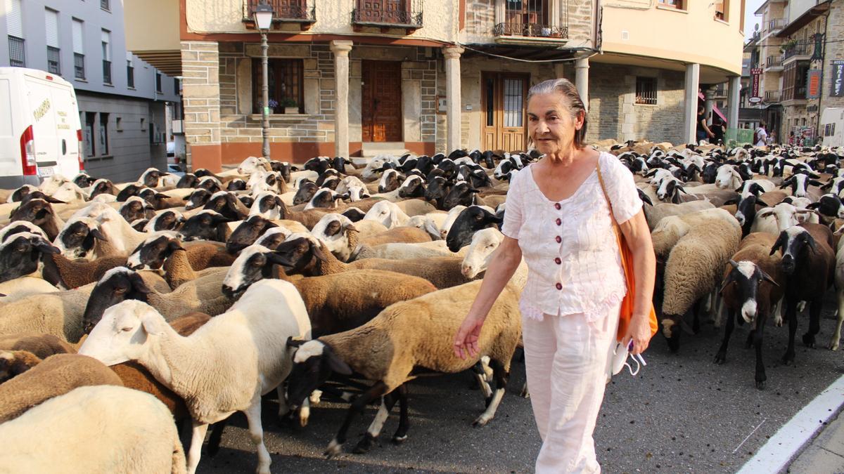 Trashumancia en Sanabria