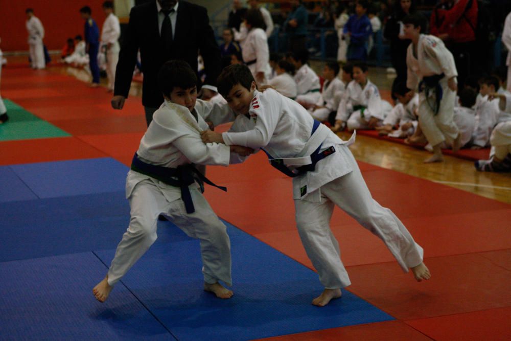 Campeonato regional de judo