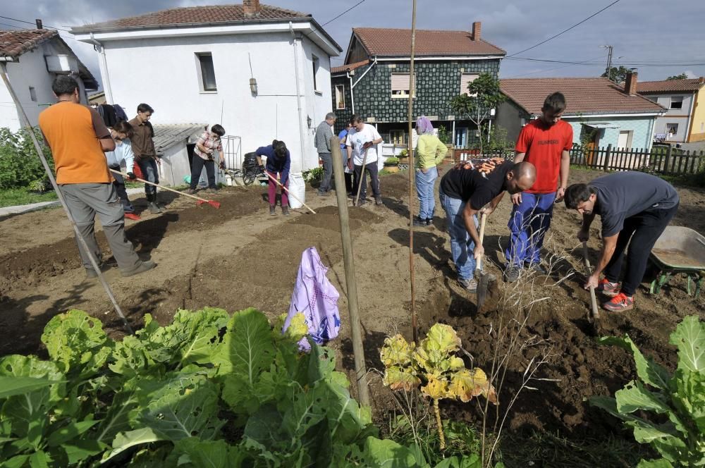 Curso de agricultura ecológica en Langreo