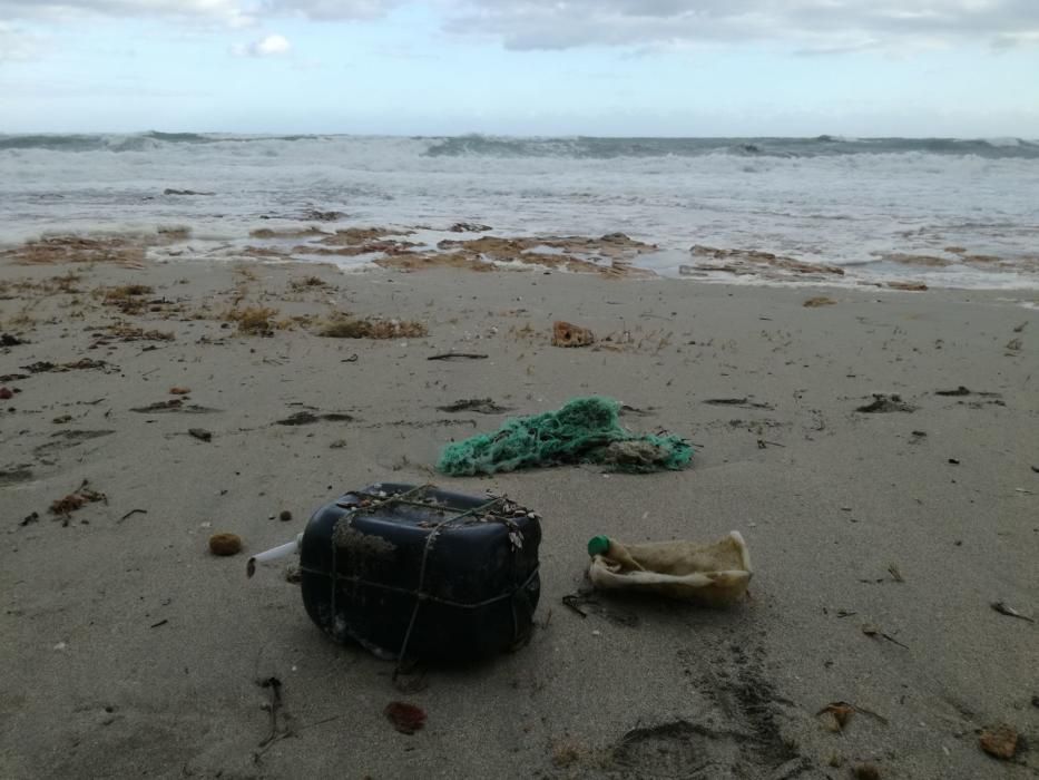 Eine dicke weiße Schaumschicht hat am Sonntag (3.12.) den Strand von Son Serra de Marina bedeckt.  Viele Anwohner und Besucher befürchteten zunächst eine Art Wasserverschmutzung. Von der MZ-Schwesterzeitung befragte Fachleute halten das Phänomen jedoch für eine natürliche Folge der Unwetter der vergangenen Tage.