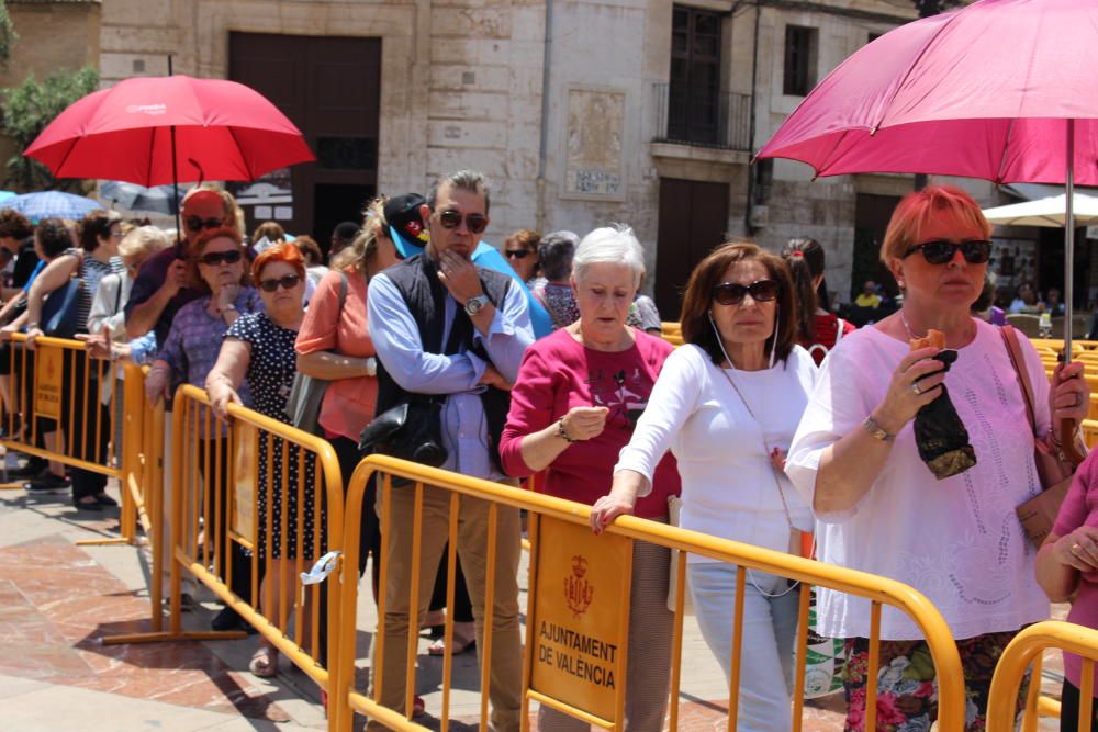 Besamanos a la Virgen de los Desamparados