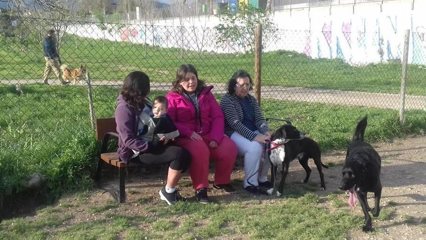 Varias propietarias de perros disfrutaban ayer del nuevo banco instalado en el parque.